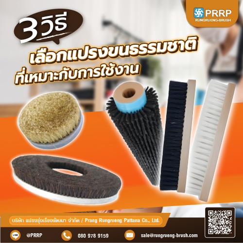 3 วิธีเลือกแปรงขนธรรมชาติ